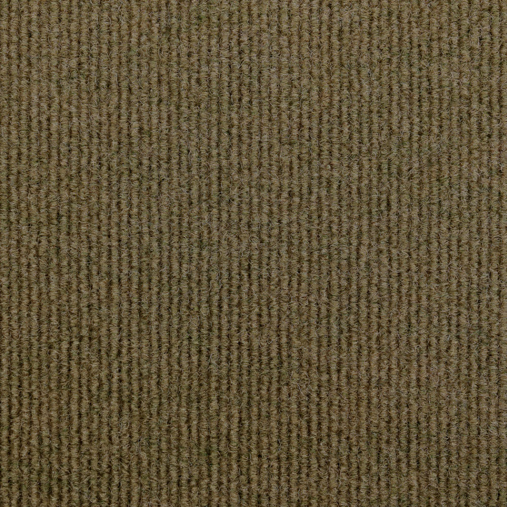 Sidmouth Acoustical